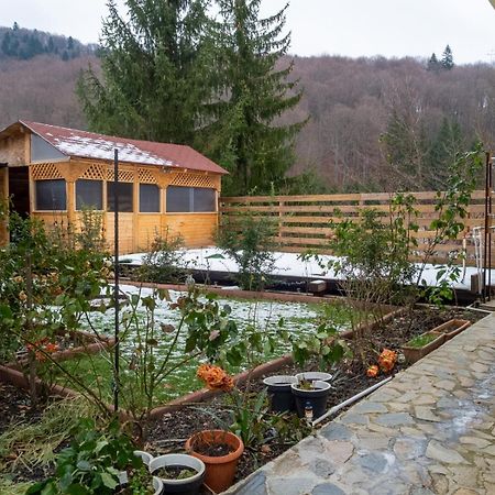 Casa Nicolas Busteni Bagian luar foto